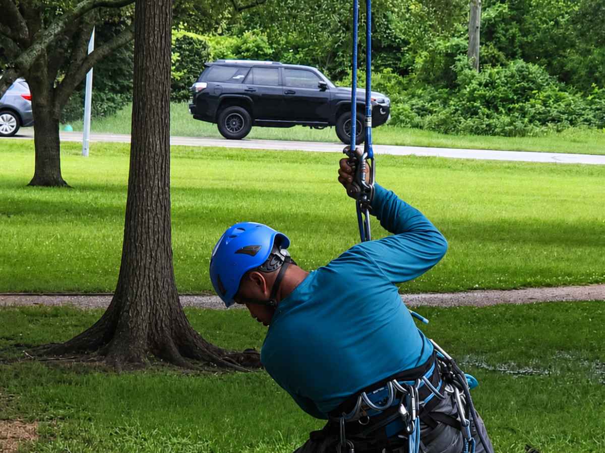 An arborist in a teal shirt and charcoal work pants hangs from blue ropes with a blue-and-white chainsaw over a grassy work area.