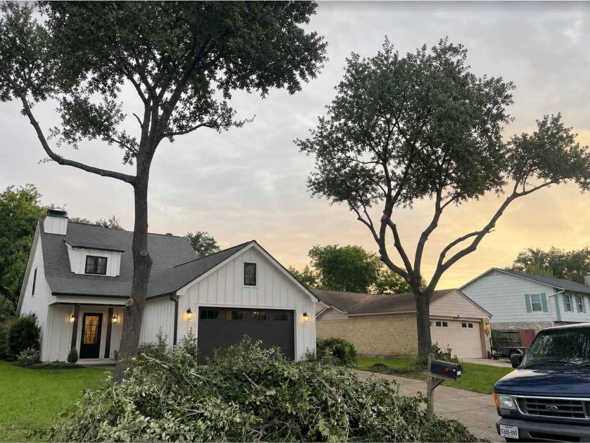 Freshly pruned trees and a large pile of branches fill the front yard of a white modern farmhouse beside a deep-blue work van.