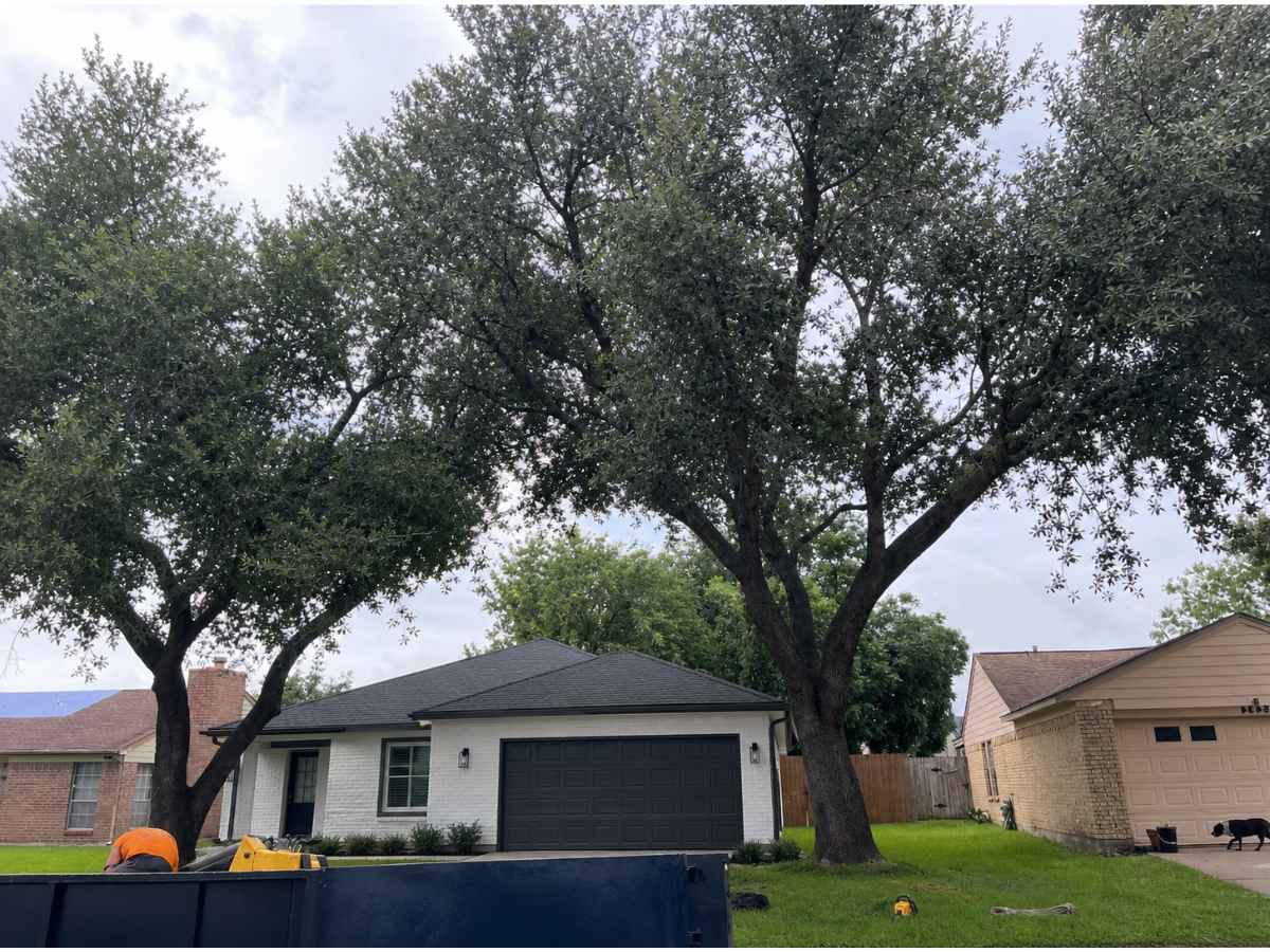 Two mature oak trees frame a white brick ranch home, with a navy and yellow dump container and a worker at the curb.