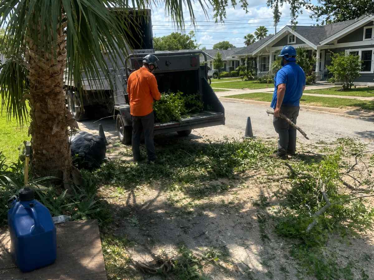 Blue- and orange-clad workers feed branches into a plain dark chipper outside gray Craftsman bungalows and a smaller palm.