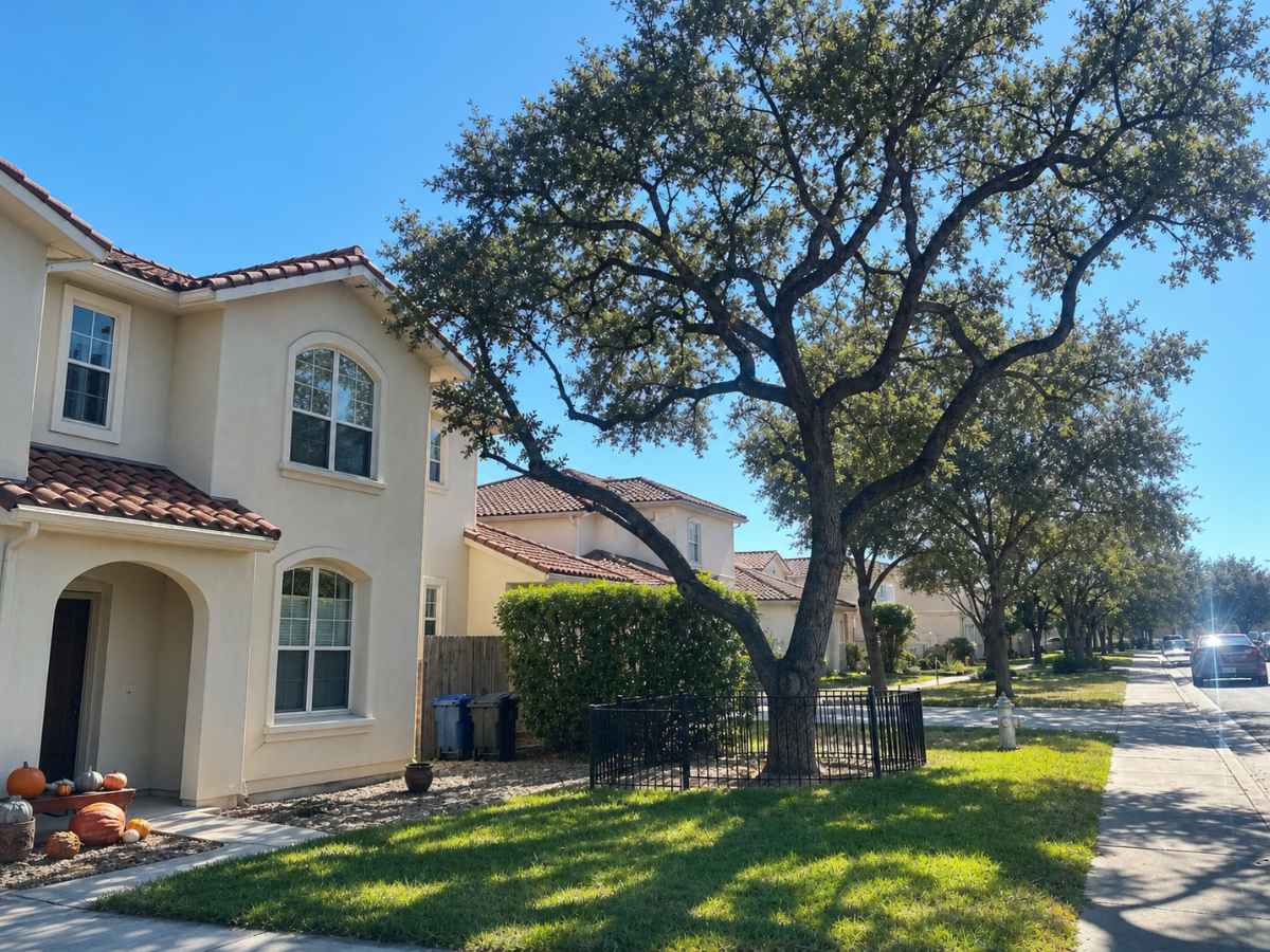 Smaller spreading oak shades a cream Spanish Revival residential street with arched windows and red tile roofs.