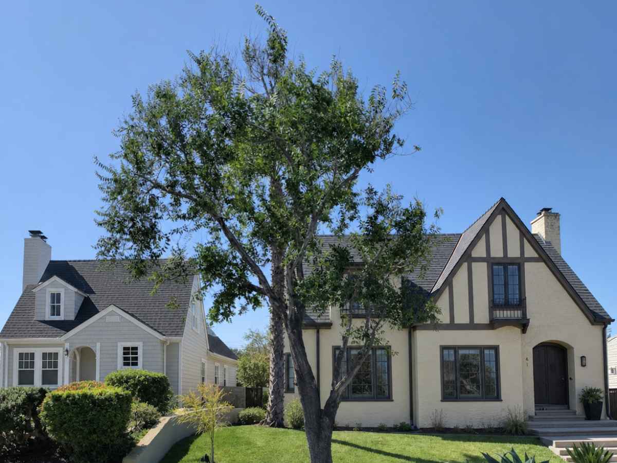A pruned leafy tree stands between a cream Tudor Revival home and a pale-gray Cape Cod home on a sunny residential street.