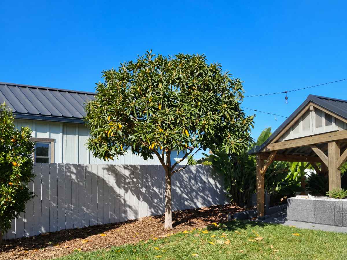 A compact fruit tree stands beside a gray fence and light-sage farmhouse structures with dark metal roofs in a sunny yard.