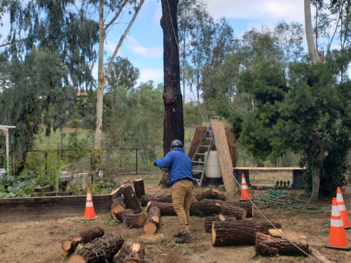 A worker in blue and tan handles ropes among reduced logs, a ladder, and orange safety cones.