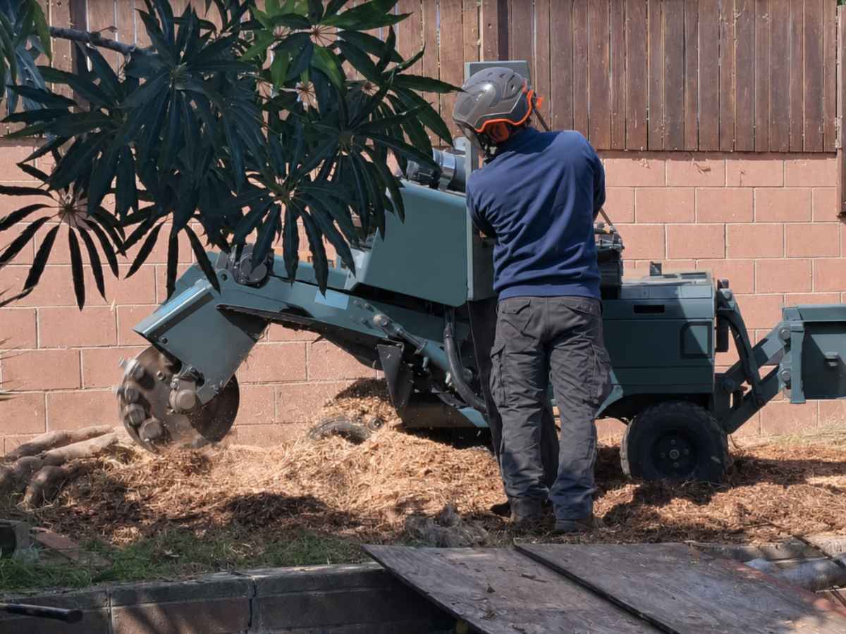 A worker in navy and charcoal operates a plain deep-teal stump grinder beside exposed roots and wood chips.