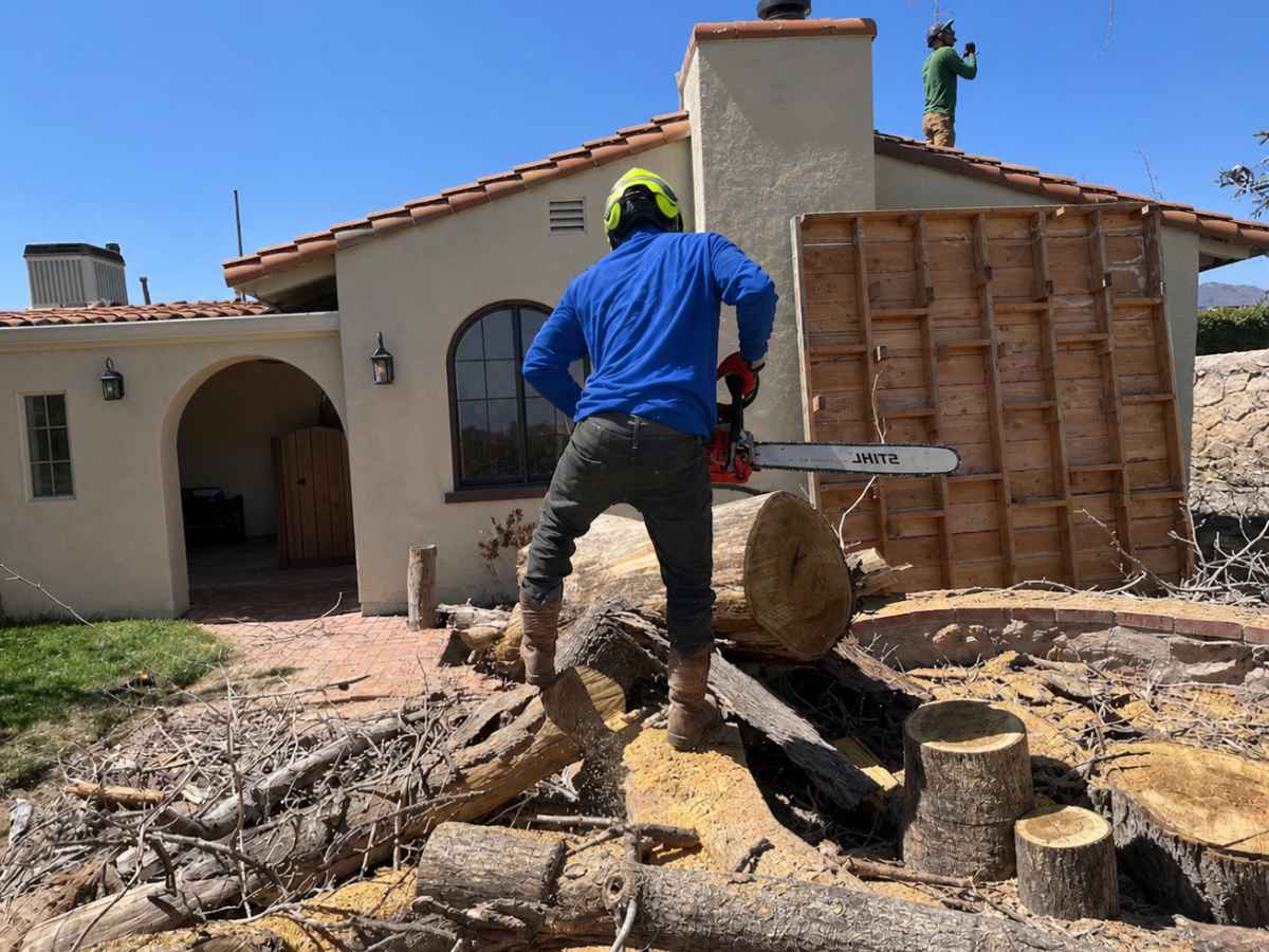 A blue-clad arborist holding a red chainsaw stands on cut logs before a cream Spanish-revival home as a second worker watches from the roof.