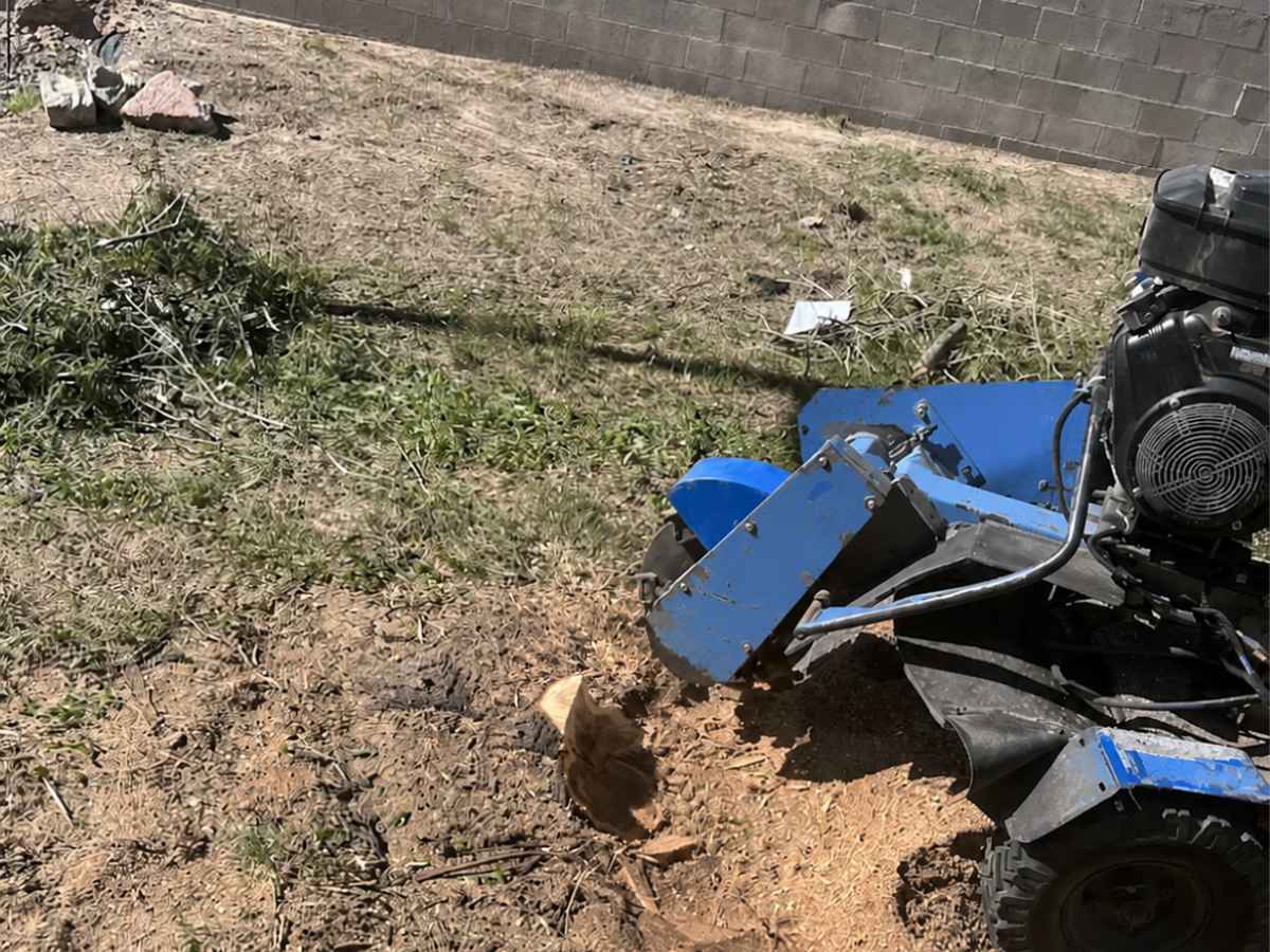 A blue-and-black wheeled stump grinder cuts into a small stump in a dry yard bordered by a block wall.