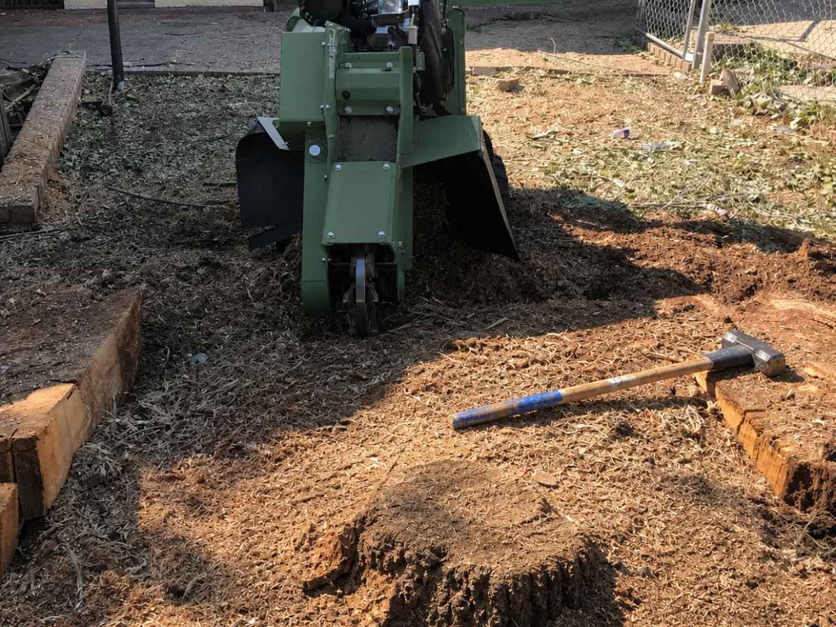A forest-green stump grinder sits behind a small remaining stump and root mass in front of a cream stucco home.
