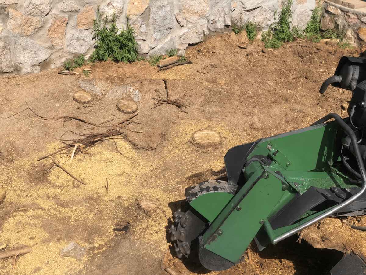A forest-green stump grinder sits near several small cut stumps amid sawdust and bare soil beside a stone wall.